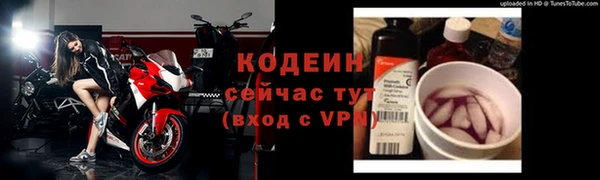 2c-b Краснослободск