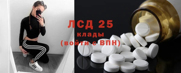 2c-b Краснослободск