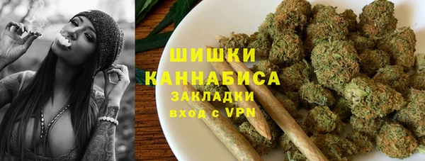 2c-b Краснослободск