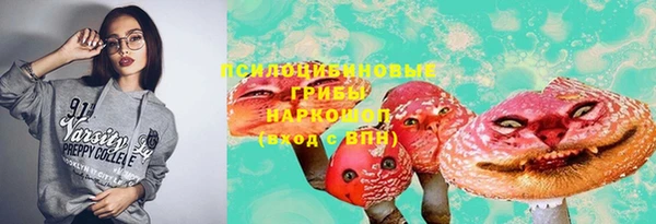 дурь Коряжма