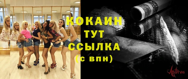 2c-b Корсаков