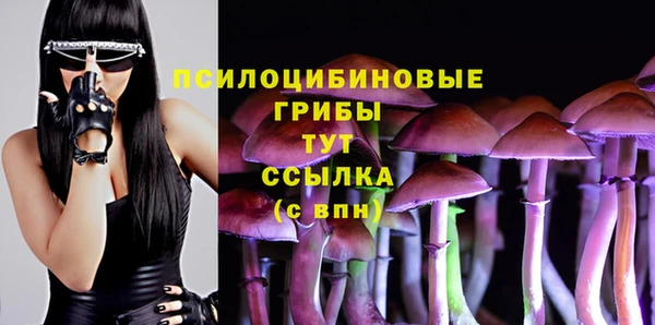 дурь Коряжма