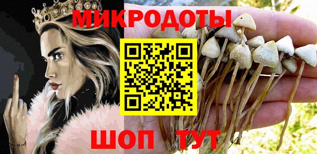 Одинцово  Псилоцибиновые грибы GOLDEN TEACHER  Вход с VPN  купить наркотик  Псилоцибиновые грибы Psilocybine cubensis 